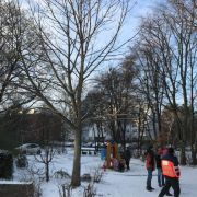 Rosskastanie am Kleinkindbereich des Spielplatzes. Der kleine, kompakte Baum hat leider massive Stammschäden am Stammfuß und am unterhalb des Kronenansatzes und wird deshalb im Zuge der Neugestaltung gefällt.