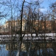 (d,e und f)<br />
Im Bereich der Uferpromenade werden kleine Sträucher und Wildsämlinge, also junge, ein- bis zweijährige Ahorne, Erlen, Hainbuchen, etc. mit einem Stammdurchmesser von ein bis zwei Zentimetern entfernt.